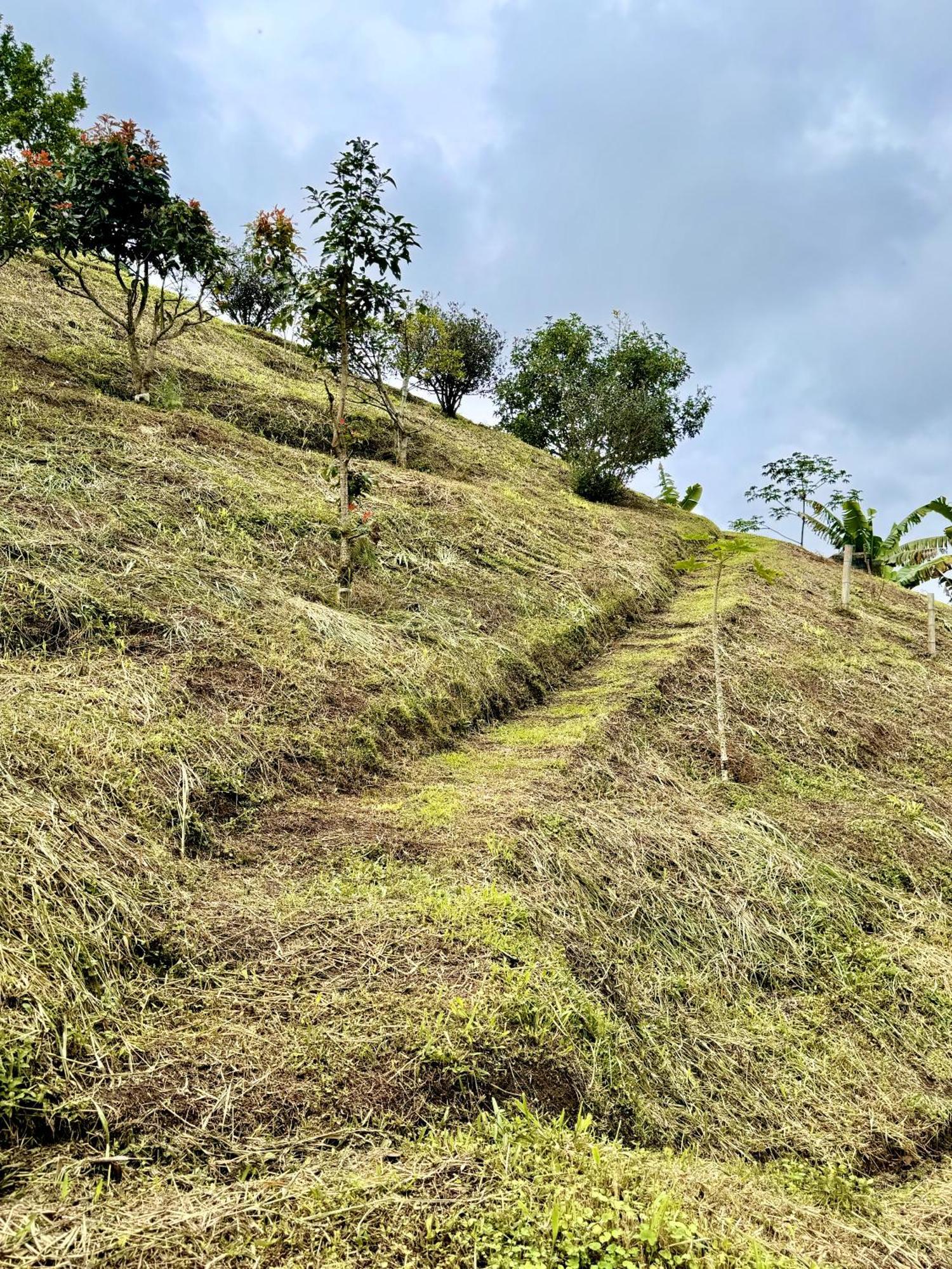 Highland Casa Campestre Holiday home Pereira